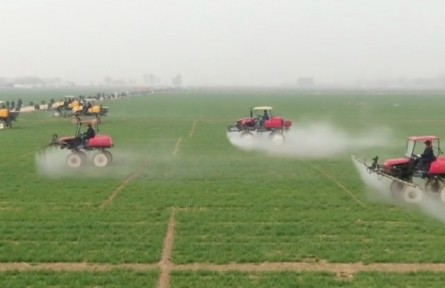 河北：開展小麥促弱轉(zhuǎn)壯“田間日”行動(dòng) 科技助力穩(wěn)產(chǎn)增收