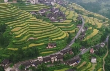 鞏固脫貧成果 銜接鄉(xiāng)村振興 發(fā)揮體制優(yōu)勢 支持鄉(xiāng)村振興重點(diǎn)幫扶縣