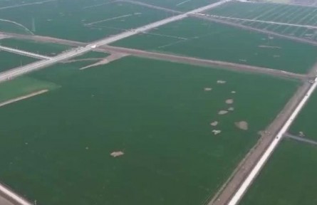 科技助力春耕 筑牢糧食豐收基礎