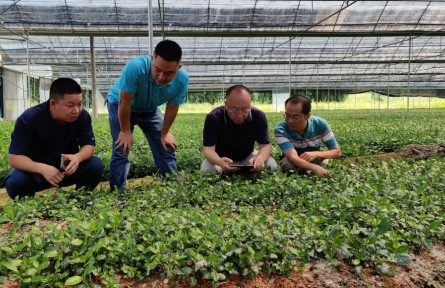韶關學院：科技小院“顯身手” 科技“火種”助春耕