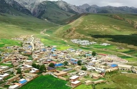 【奮進(jìn)新征程 建功新時代】青海：政策性農(nóng)業(yè)保險“護(hù)航”鄉(xiāng)村振興