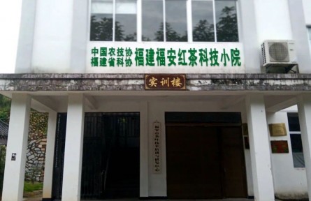 福建福安紅茶科技小院成立 促進茶產(chǎn)業(yè)高質(zhì)量發(fā)展