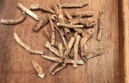 健康問答 | 怎樣煎中藥、喝中藥才能獲得好藥效？