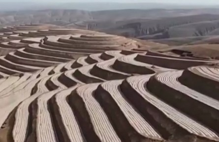 寧夏：嚴(yán)守耕地紅線 保障糧食安全