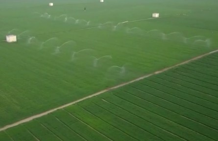 搶農(nóng)時(shí) 提品質(zhì) 春管春播有力推進(jìn)