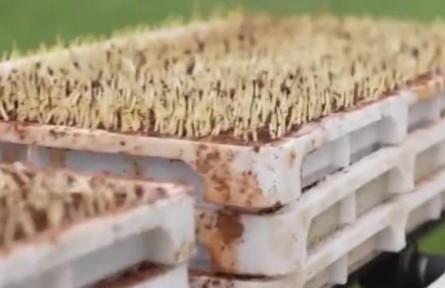 江西：近百萬畝水稻春耕生產(chǎn)全程機械化