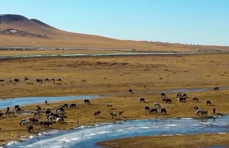 大美中國（2022年4月6日）
