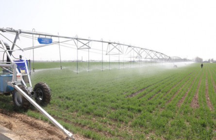 山東省東營(yíng)市廣饒縣李鵲鎮(zhèn)：在希望的田野上奏響發(fā)展之歌