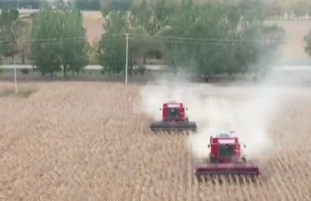 黑龍江：吃上“營養(yǎng)餐” 育肥黑土地