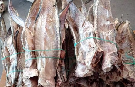 母親曬的魚（王彩虹）