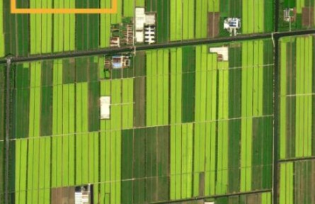 春的浪漫，“太空攝影師”帶你感受“詩和遠方”