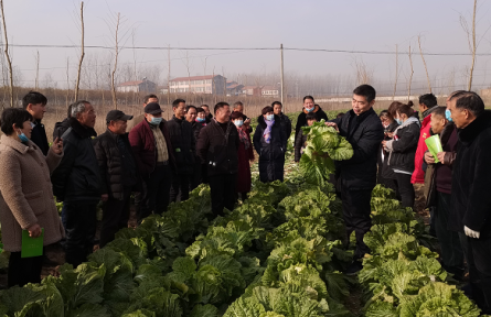 河南夏邑：教育培訓(xùn)讓農(nóng)民學(xué)技又致富