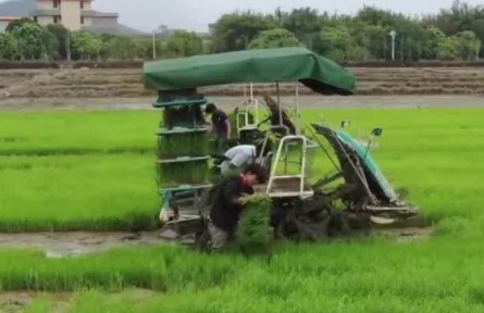 農(nóng)業(yè)農(nóng)村部：全國春管春播順利推進(jìn)