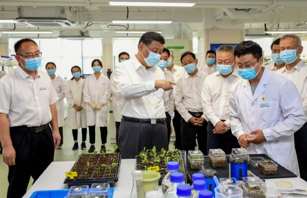 習(xí)近平：只有攥緊中國種子，才能端穩(wěn)中國飯碗