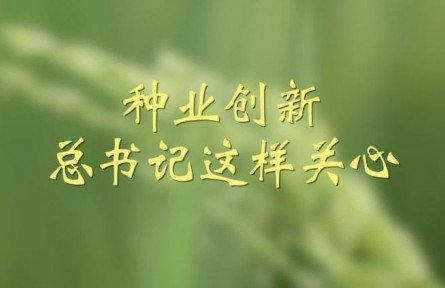種業(yè)創(chuàng)新，總書記這樣關(guān)心