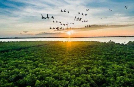 海南：牢記重要囑托 提升治理能力 加快建設國家生態(tài)文明試驗區(qū)