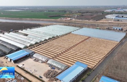 山東棗莊滕州市：食用菌產(chǎn)業(yè)助力鄉(xiāng)村振興