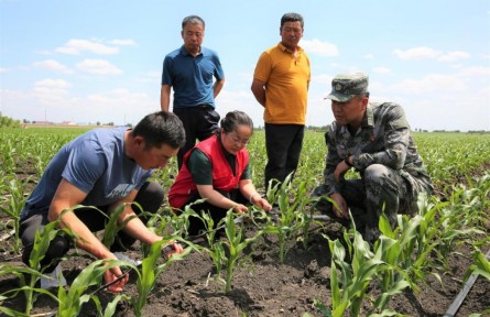 內(nèi)蒙古興安盟：真金白銀獎(jiǎng)補(bǔ)重點(diǎn)鄉(xiāng)村人才