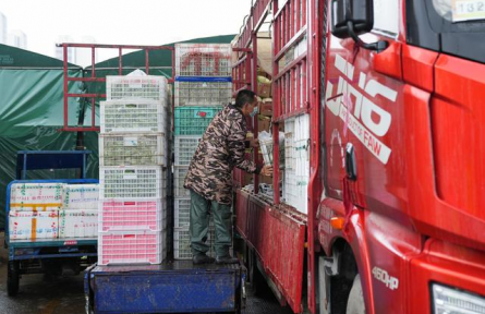 貨運(yùn)物流暢通 smooth freight and logistics