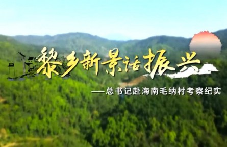 黎鄉(xiāng)新景話振興——總書記赴海南毛納村考察紀(jì)實