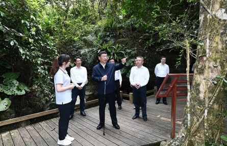 習(xí)近平：森林是水庫(kù)、錢(qián)庫(kù)、糧庫(kù)，現(xiàn)在應(yīng)該再加上一個(gè)“碳庫(kù)”