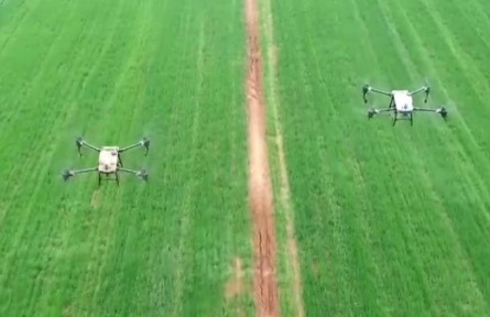 助企紓困 應(yīng)變克難 政策措施“組合拳” 確保農(nóng)資保供穩(wěn)價(jià)