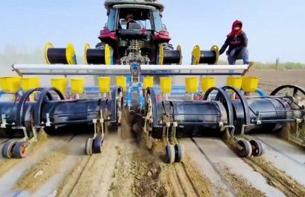 新疆棉原來是這樣種的！3700萬畝棉田開播，太壯觀