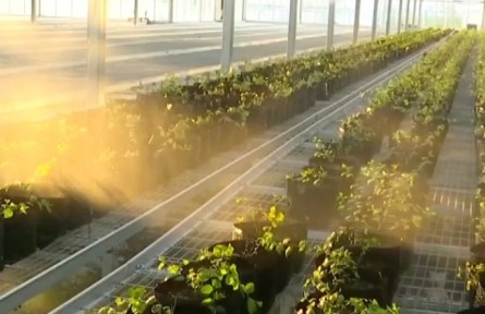 貴州：大數(shù)據(jù)技術(shù)進村入戶 為鄉(xiāng)村振興添智提質(zhì)