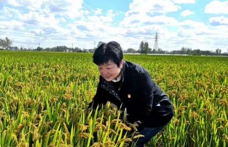 秦光蔚：把“鹽堿灘”變成“米糧倉”的“土壤醫(yī)生”