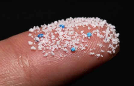 被界定為新污染物 微塑料對人體健康有哪些危害？