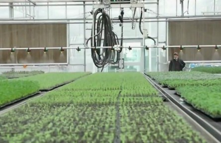 新疆庫車：“一村一品”助力鄉(xiāng)村振興