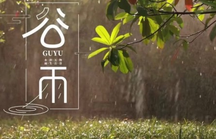 今日谷雨：邂逅春天最后一場(chǎng)奇遇