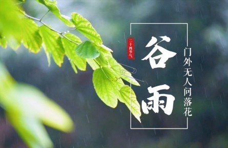 谷雨，門外無人問落花