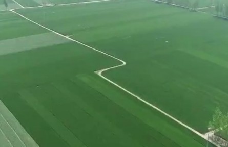 一季度山東農(nóng)業(yè)生產(chǎn)穩(wěn)定 農(nóng)產(chǎn)品供應(yīng)充足