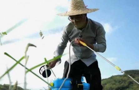 水稻栽培師李建武：扎根稻田 做一?！昂梅N子”