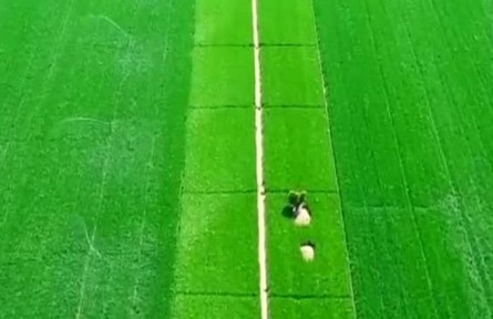 各地加快春耕春播生產(chǎn)