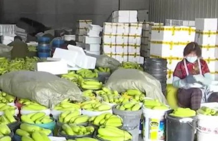 山東：物流保通保暢 打通運(yùn)輸梗阻 確保蔬菜暢運(yùn)全國(guó)