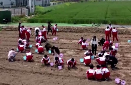 江蘇淮安：探秘航天育種 點(diǎn)亮航天夢想