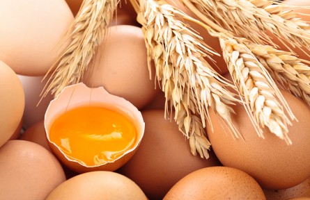 辟謠 | 無(wú)菌蛋≠完全無(wú)菌，營(yíng)養(yǎng)價(jià)值與普通蛋相當(dāng)