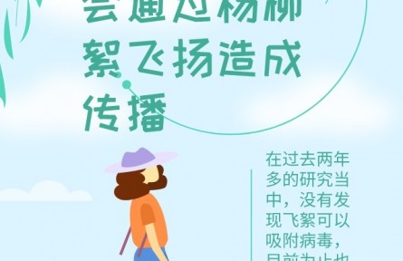 辟謠 | 飛絮會(huì)不會(huì)傳播新冠病毒？易過(guò)敏人群應(yīng)如何做好防護(hù)？