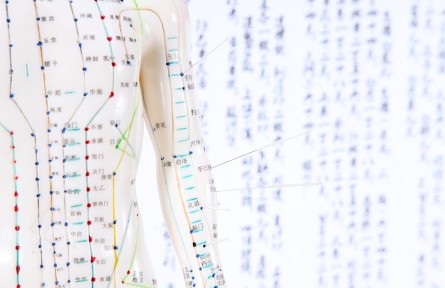 科技名詞 | 經(jīng)脈  channel