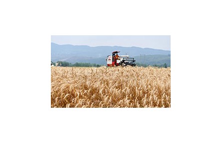 農(nóng)業(yè)農(nóng)村部辦公廳關(guān)于印發(fā)《新型農(nóng)業(yè)經(jīng)營(yíng)主體輔導(dǎo)員工作規(guī)程》的通知