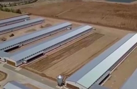 寧夏：富民產(chǎn)業(yè)帶民富