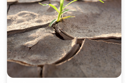 名言 | 夏衍：種子不落在肥土而落在瓦礫中  有生命力的種子決不會(huì)悲觀和嘆氣