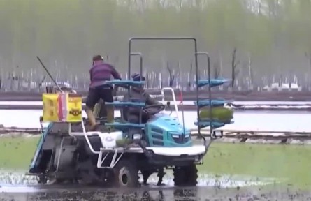 全國(guó)2022年春播總體過(guò)七成