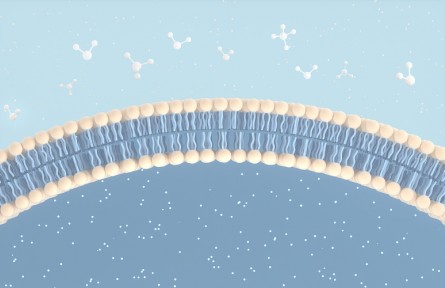 科技名詞 | 靜息電位  resting potential
