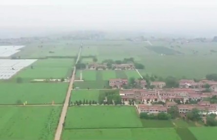 陜西楊凌：科技育良種 守護(hù)“油瓶子”安全