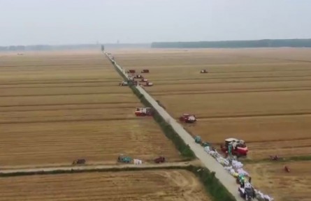 湖北：搶抓農(nóng)時(shí)確保夏糧夏油豐收