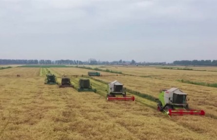 聚焦中國(guó)經(jīng)濟(jì)2022年4月報(bào) 市場(chǎng)供給能力充足 有利于保持價(jià)格穩(wěn)定