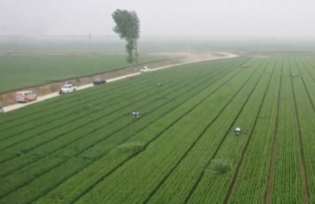 黃淮海主產(chǎn)區(qū)實施“一噴三防” 力促小麥產(chǎn)量增加